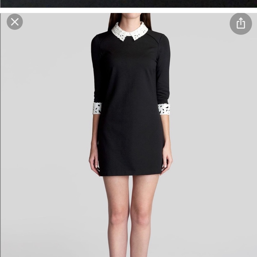 Ted Baker London Currie Dress NWT 4 (us 10-12)